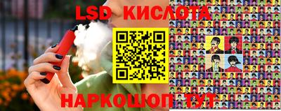 гашик Гатчина