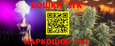 гашик Гатчина