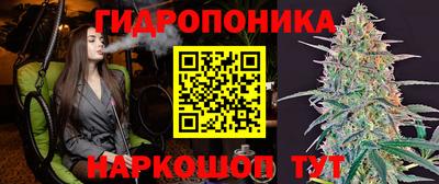 гашик Гатчина