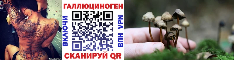 Галлюциногенные грибы прущие грибы  дарк нет телеграм  Корсаков  OMG tor 