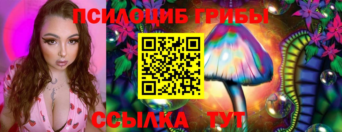 Галлюциногенные грибы Psilocybe Корсаков